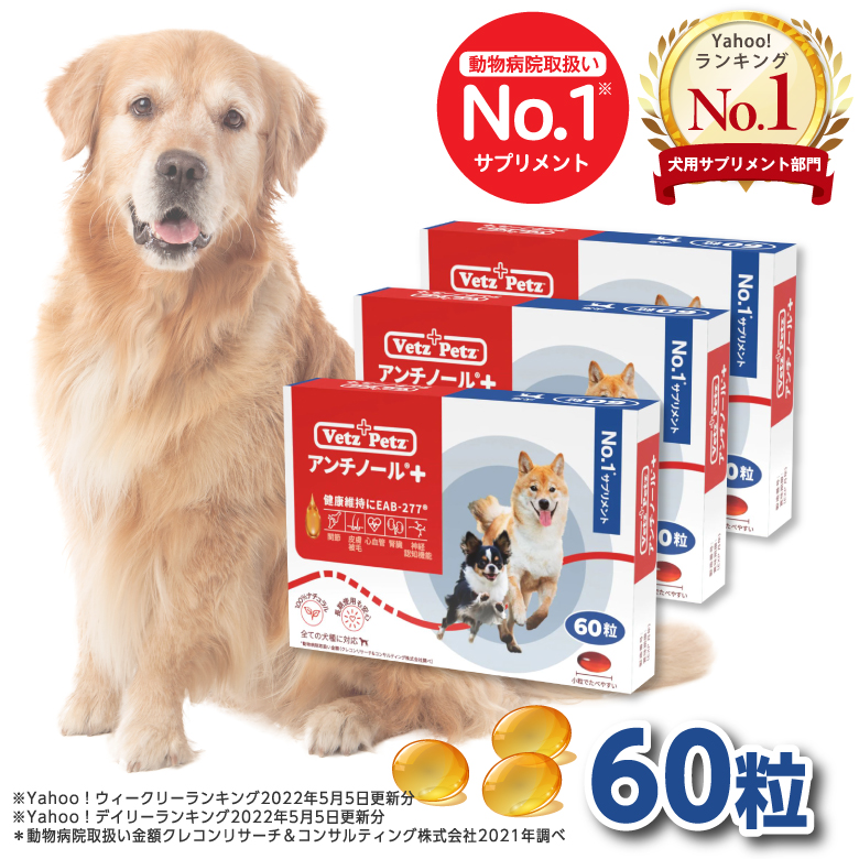 アンチノール プラス 犬用サプリメント 60粒 :S-AN0011303002