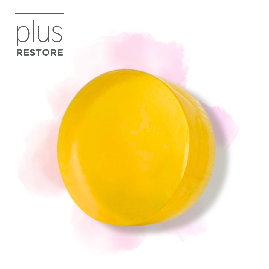 plus RESTORE（プラスリストア） クレンジングソープ泡 ホームケア 詰