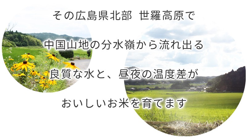 新米 令和6年産 重永農産 コシヒカリ 10kg 送料無料 受注精米 新米 令和6年産 重永農産 コシヒカリ 10kg 送料無料 受注精米