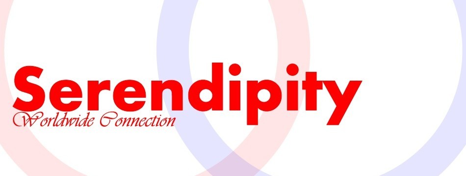 SERENDIPITYヤフー店