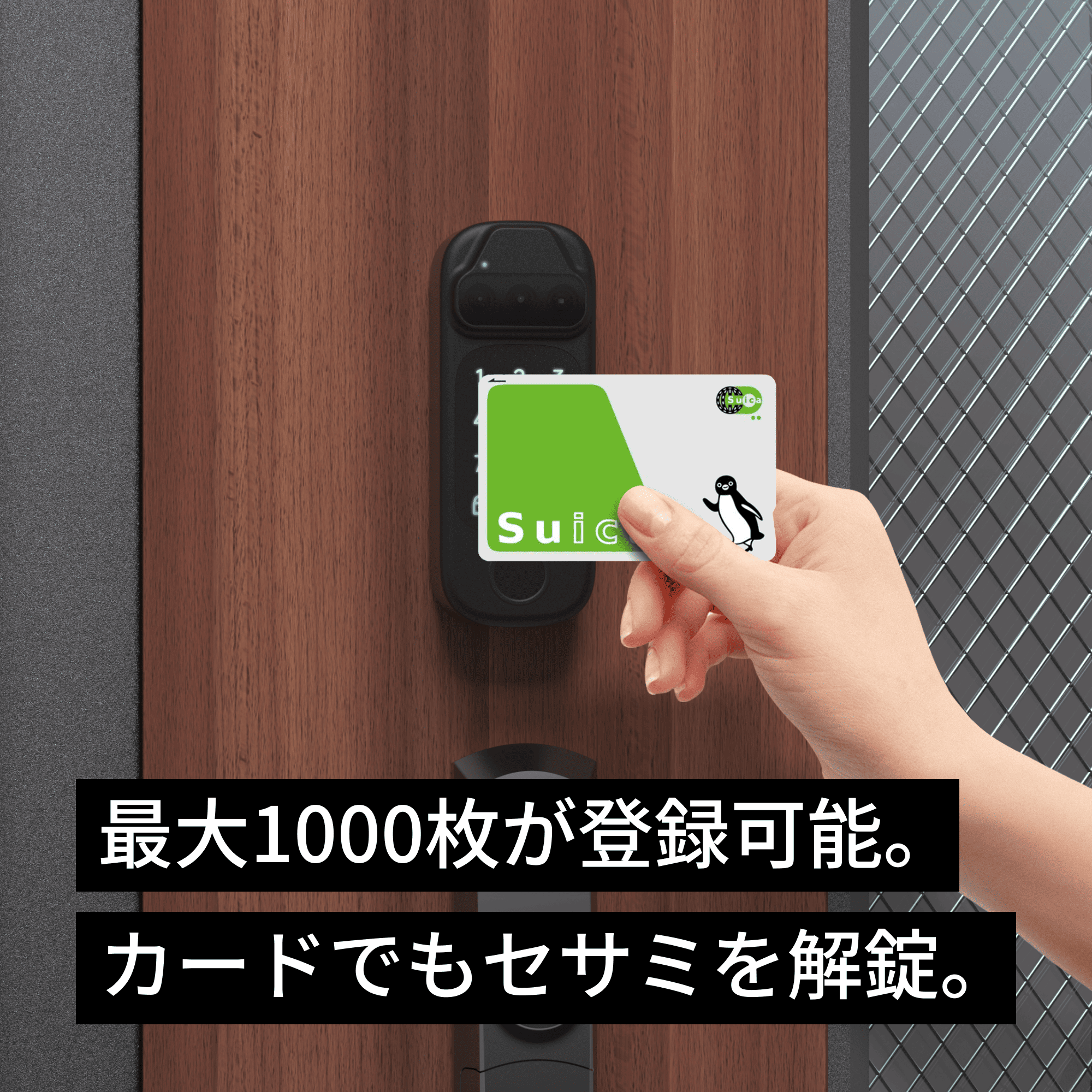 SESAME（CANDY HOUSE） 【公式ストア】SESAME FACE PRO セサミ