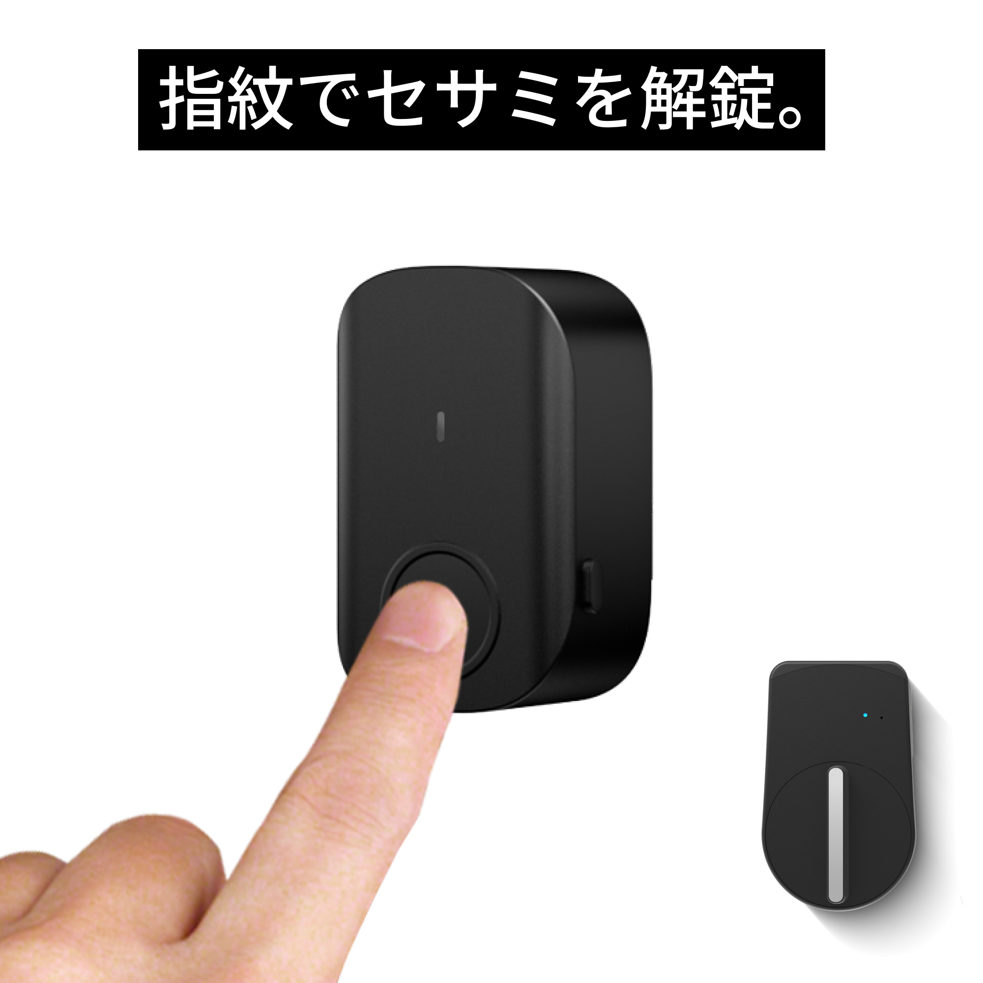 SESAME（CANDY HOUSE） 【公式ストア】セサミ5＋セサミタッチ2