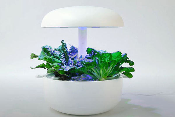 水耕栽培 Plantui 6 プラントゥイ6 LED 水耕栽培キット LEDライト 肥料