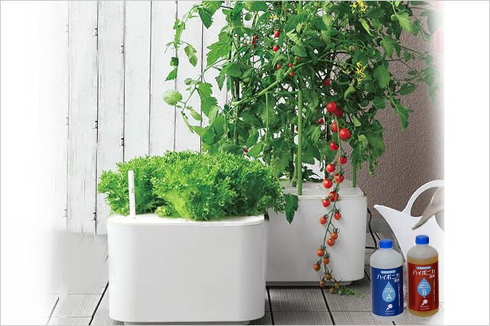 水耕栽培 ホームハイポニカ MASUCO マスコ 水耕栽培キット 野菜 花