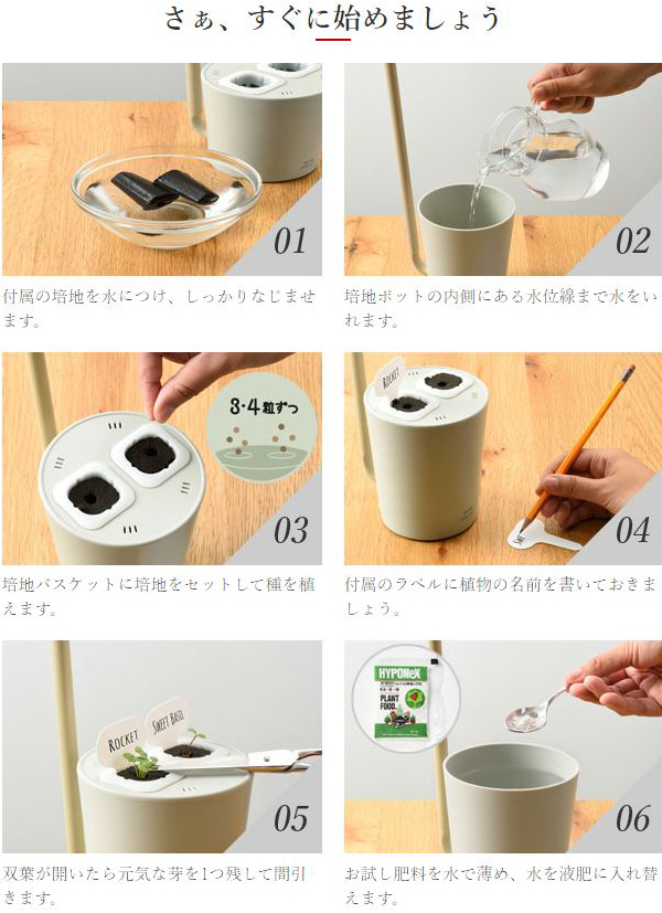 水耕栽培 ポイント10倍 ブルーノ STAND BY GREEN （スタンド