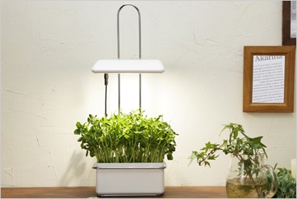 TOKILABOYahoo!ショッピング店 - LED照明付き水耕栽培キット｜Yahoo