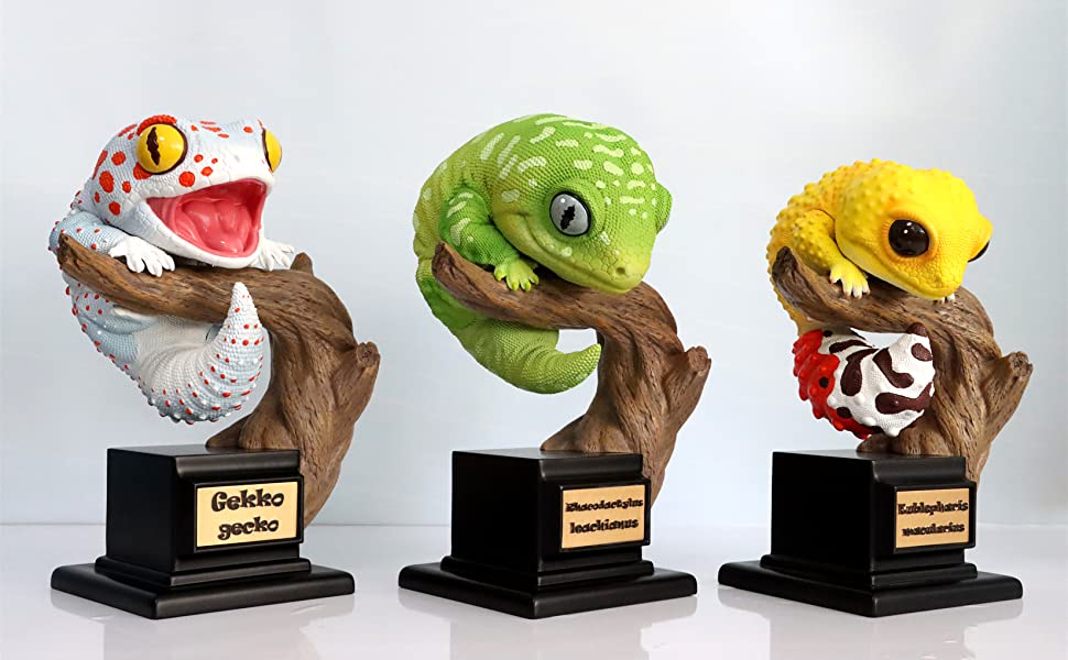 Qoo10] 博物志 ヤモリ 限定版 PLUS 30C