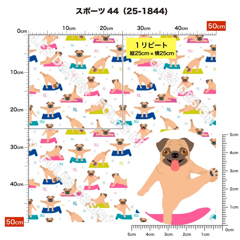 スポーツ44 柄詳細
