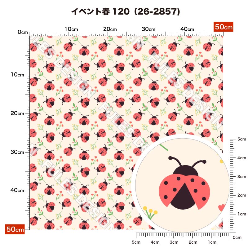 イベント春120 柄詳細