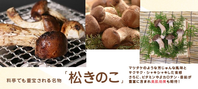 料亭でも重宝される名物「美咲松きのこ」