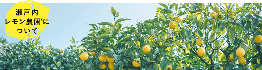 瀬戸内レモン農園 Yahoo!店 - Yahoo!ショッピング