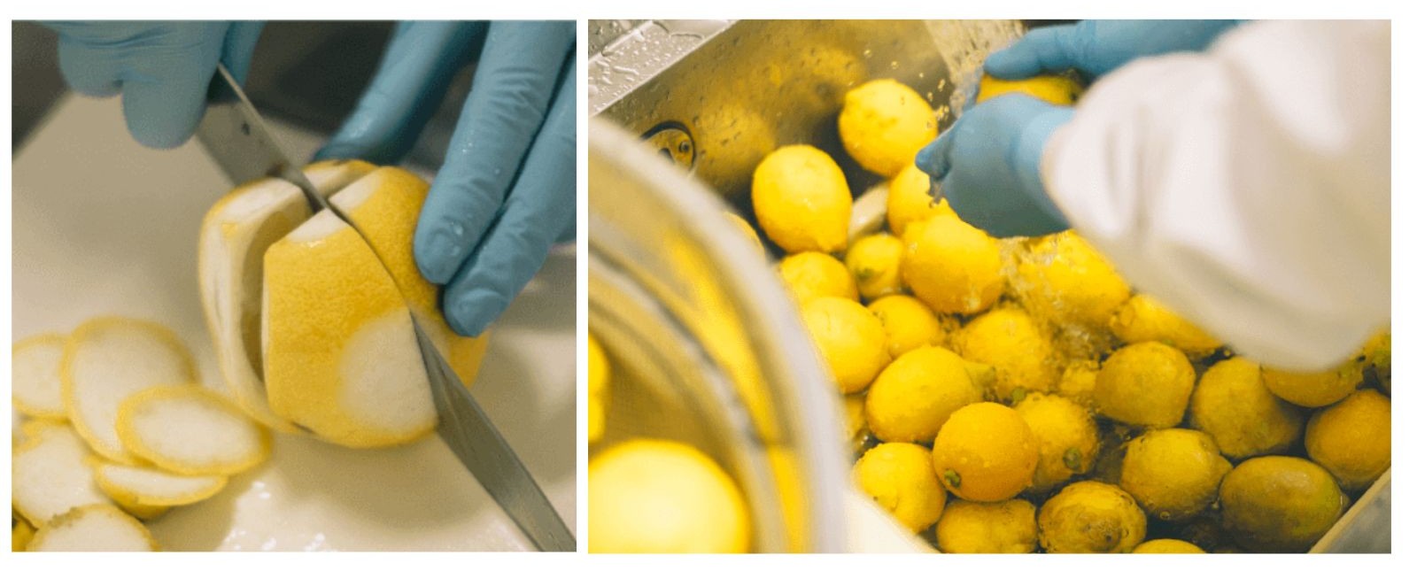 瀬戸内レモン農園 Yahoo!店 - Yahoo!ショッピング