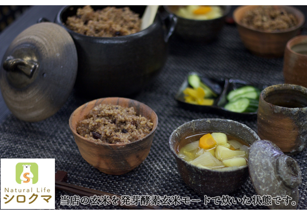 自然栽培 玄米 朝日米 木村式 自然栽培米 2kg 【玄米】 農薬不使用