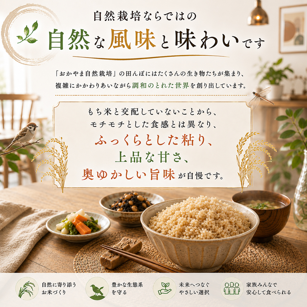 自然栽培 玄米 朝日米 木村式 自然栽培米 5kg 【玄米】 おかやま 無