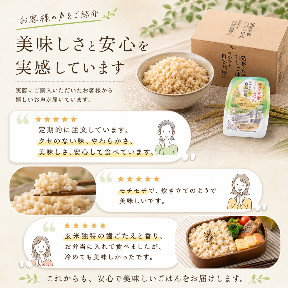 【袋数限定価格】自然栽培 玄米 11899円 別途送料500円 発芽玄米 パックご飯 40パック(180g×40個) レトルト 自然栽培 玄米