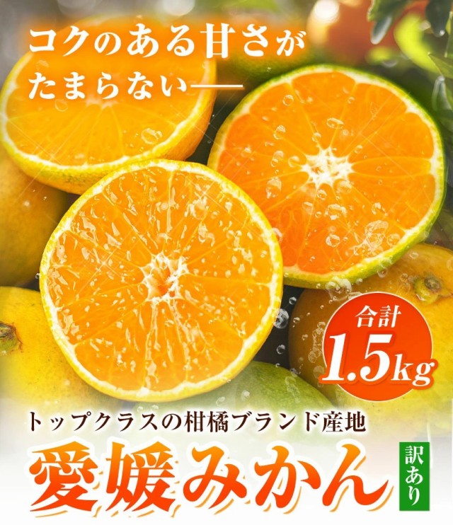 訳あり 愛媛 みかん 1.5kg 送料無料 ミカン 2セットで+1セット おまけ増量 柑橘 蜜柑 規格外 お取り寄せ フルーツ 11月中旬-12月上旬出荷予定  :wehimikan-2:せとうち風土 - 通販 - Yahoo!ショッピング