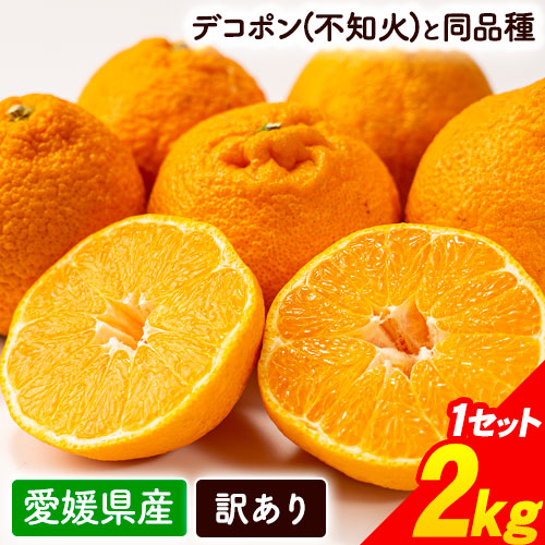 愛媛県産 訳あり デコみかん 不知火 2kg 送料無料 デコポン と同品種 みかん 柑橘 お取り寄せ フルーツ産地直送 3-7営業日以内に出荷 土日祝除く｜setouchifood