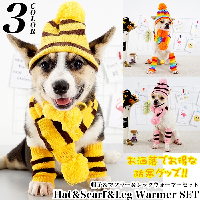 犬 ニット 帽子 レッグウォーマー マフラー セット ウェア