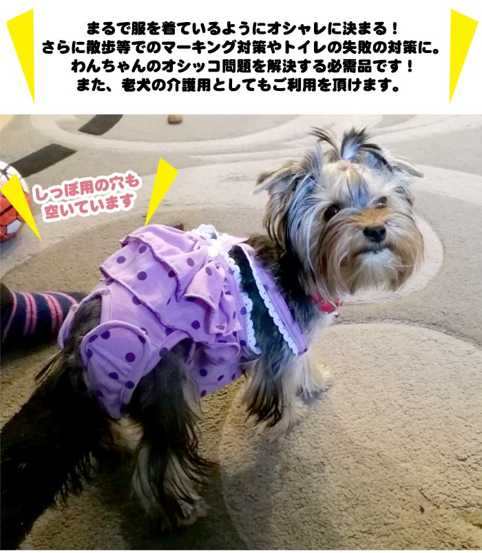 犬 マナーウェア マナーベルト マナーパンツ フリル 服 マナーバンド オムツカバー ドッグウェア 犬の服 しつけ マーキング防止 トイレ 介護 H0243 セブンブリッジ 通販 Yahoo ショッピング 일본구매대행 직구 온재팬