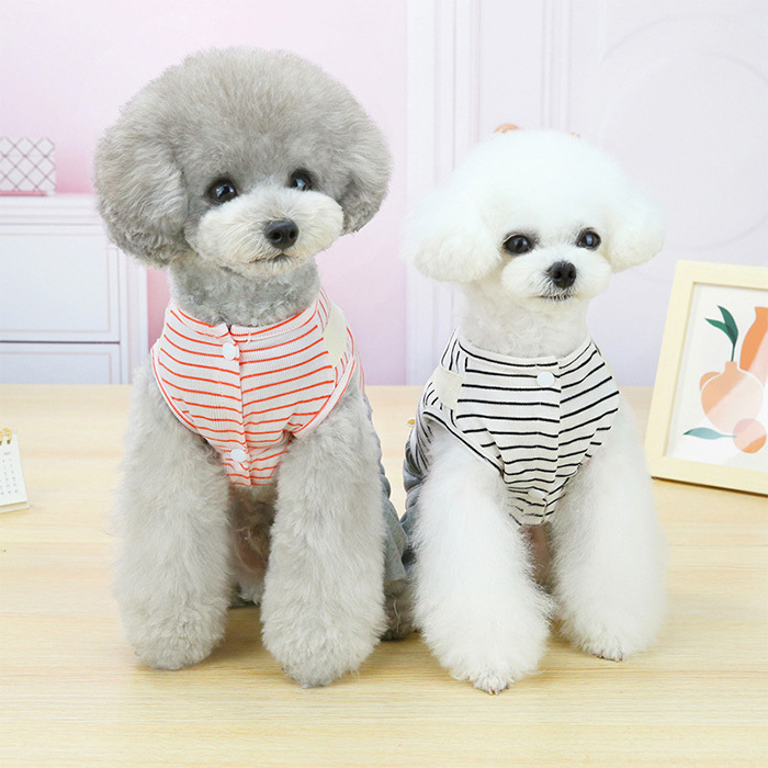 chimocoページです フリフリロンパース 犬服 つなぎ服 楽天市場】犬服