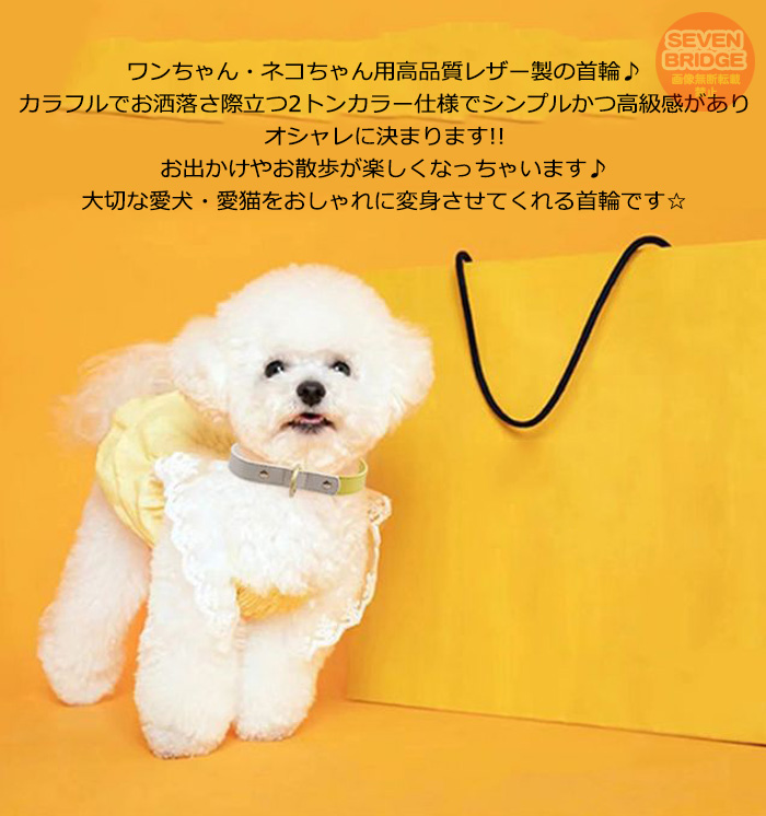 犬 猫 首輪 カラフル 4カラー ツートンカラー レザー ペット キャット