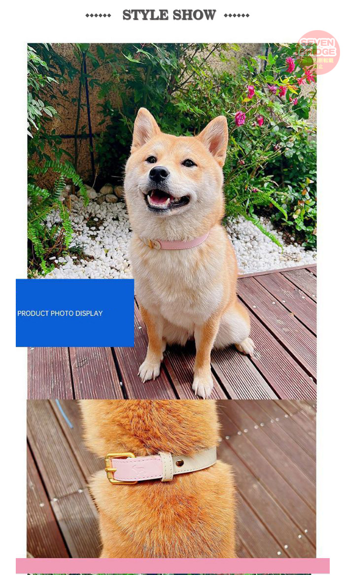 犬 猫 首輪 カラフル 4カラー ツートンカラー レザー ペット キャット