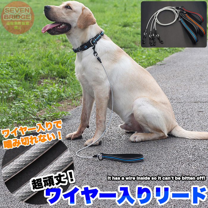 ネイバーフッド ドッグリーシュ ジャストアシンチドッグリーシュ | 犬用スリップリーシュ | Ruffwear JAPAN
