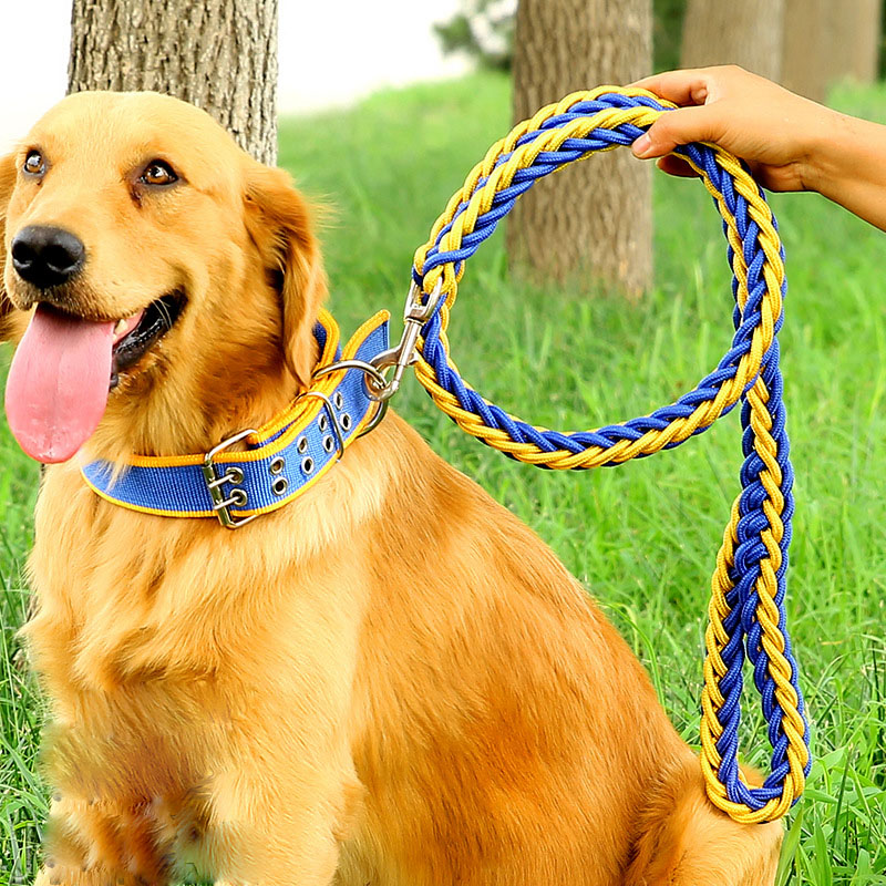 大型犬用　首輪・リードセットで★ASHBURY ★ゴールデンレトリバー 犬 首輪 極太 リード 2点セット 頑丈 首や喉に優しい ペット