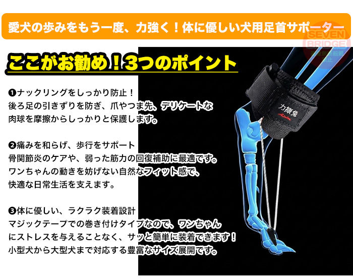 犬 サポーター 足首 足首サポーター ナックリング 対策 後ろ足用 関節 