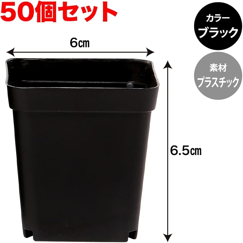 植栽ポット 育苗ポット プランター 家庭菜園 多肉植物 小型 50個セット 四角型(ブラック,  四角型) | ブランド登録なし | 04