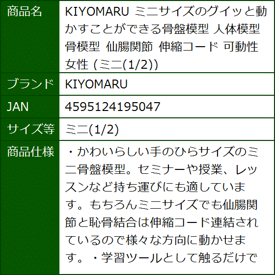 女性骨盤模型の商品一覧 通販 - Yahoo!ショッピング