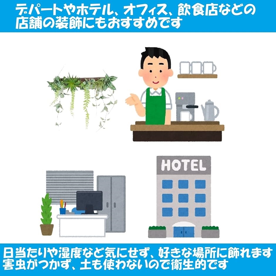 フェイクグリーン 壁掛け 観葉植物 ウォールグリーン エアープランツ | ブランド登録なし | 03