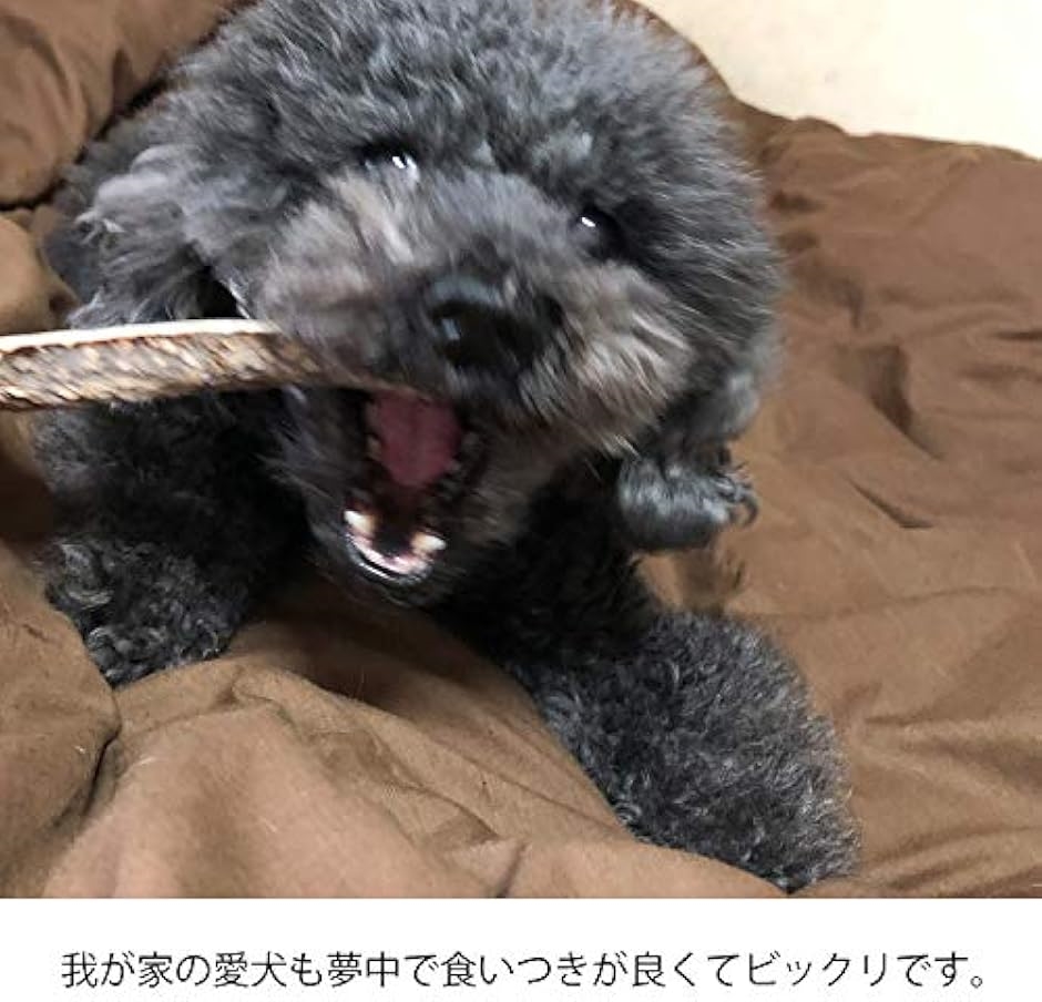 鹿の角 犬 おもちゃ 無添加 おやつ エゾジカ 国産 ガム デンタルケア 中型犬 15cm(中型犬 15cm) | ブランド登録なし | 03
