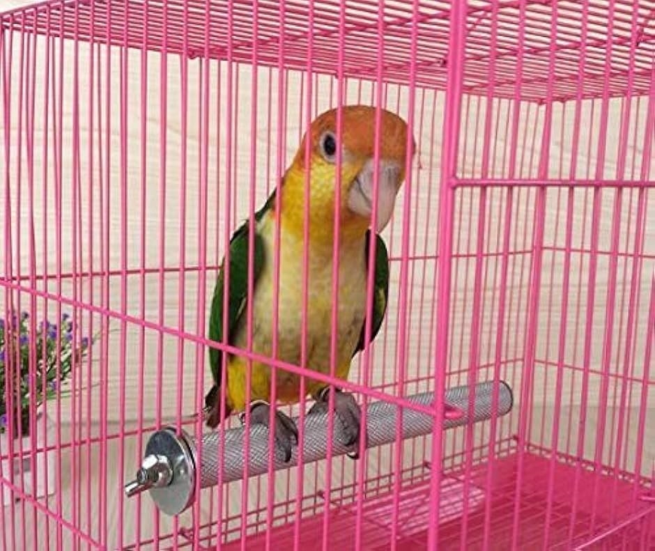 文鳥（鳥用 止まり木）の商品一覧｜鳥用品 | ペット用品、生き物 通販 - Yahoo!ショッピング