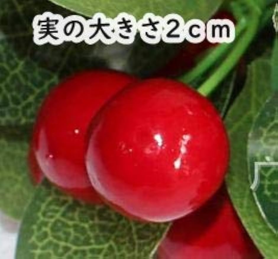 美々杏造花 切り花 生け花 クリスマスホーリー インテリア ディスプレイ 壁飾り お祝い プレゼントに最適 赤い実 2b6rddghxr セブンリーフ 通販 Yahoo ショッピング 美々杏造花 切り花 生け花 クリスマスホーリー インテリア ディスプレイ 壁飾り お祝い プレゼントに最適 赤い実 2b6rddghxr セブンリーフ 通販 Yahoo ショッピング