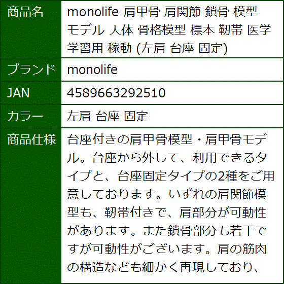 肩甲骨 肩関節 鎖骨 模型 モデル 人体 骨格模型 標本 靭帯 医学 学習用 稼動 左肩 台座 固定(左肩 台座 固定) | ブランド登録なし | 06