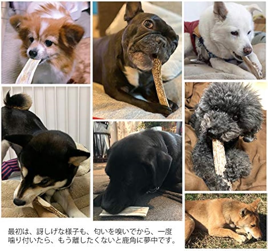 鹿の角 半割り 犬 おもちゃ 無添加 おやつ エゾジカ 国産 ガム