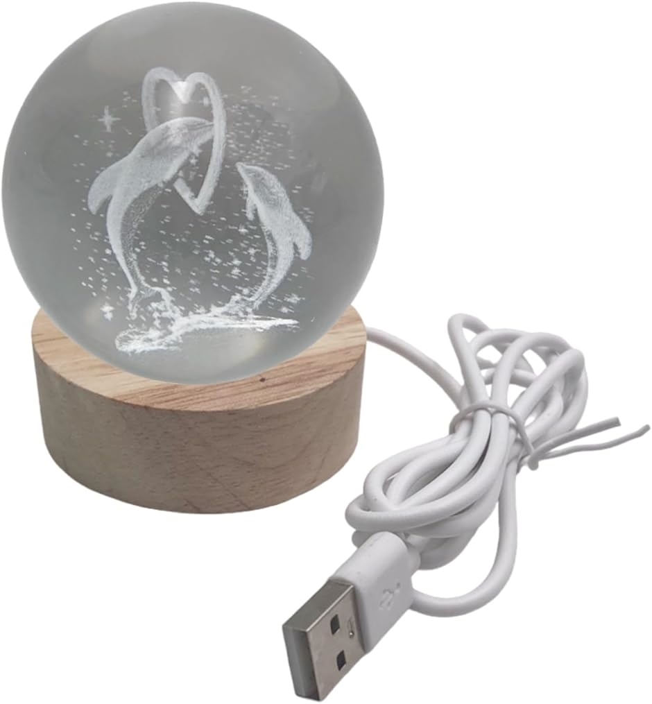 륫 ꥹܡ  徽 ʥȥ饤 ܾ ƥꥢ 3D ʪ USB ֥( ꥢ)