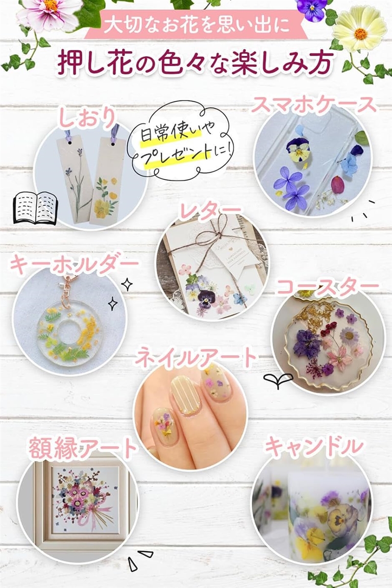 押し花キット 専用乾燥シート 繰り返し使える 塩化カルシウム入り 乾燥シート10枚(ブルー) | ブランド登録なし | 06