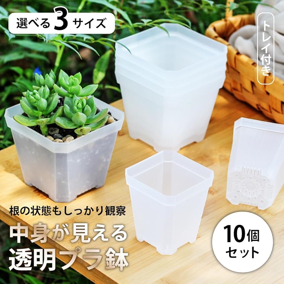 育苗ポット（植木鉢、プランター）｜園芸用品 | 花