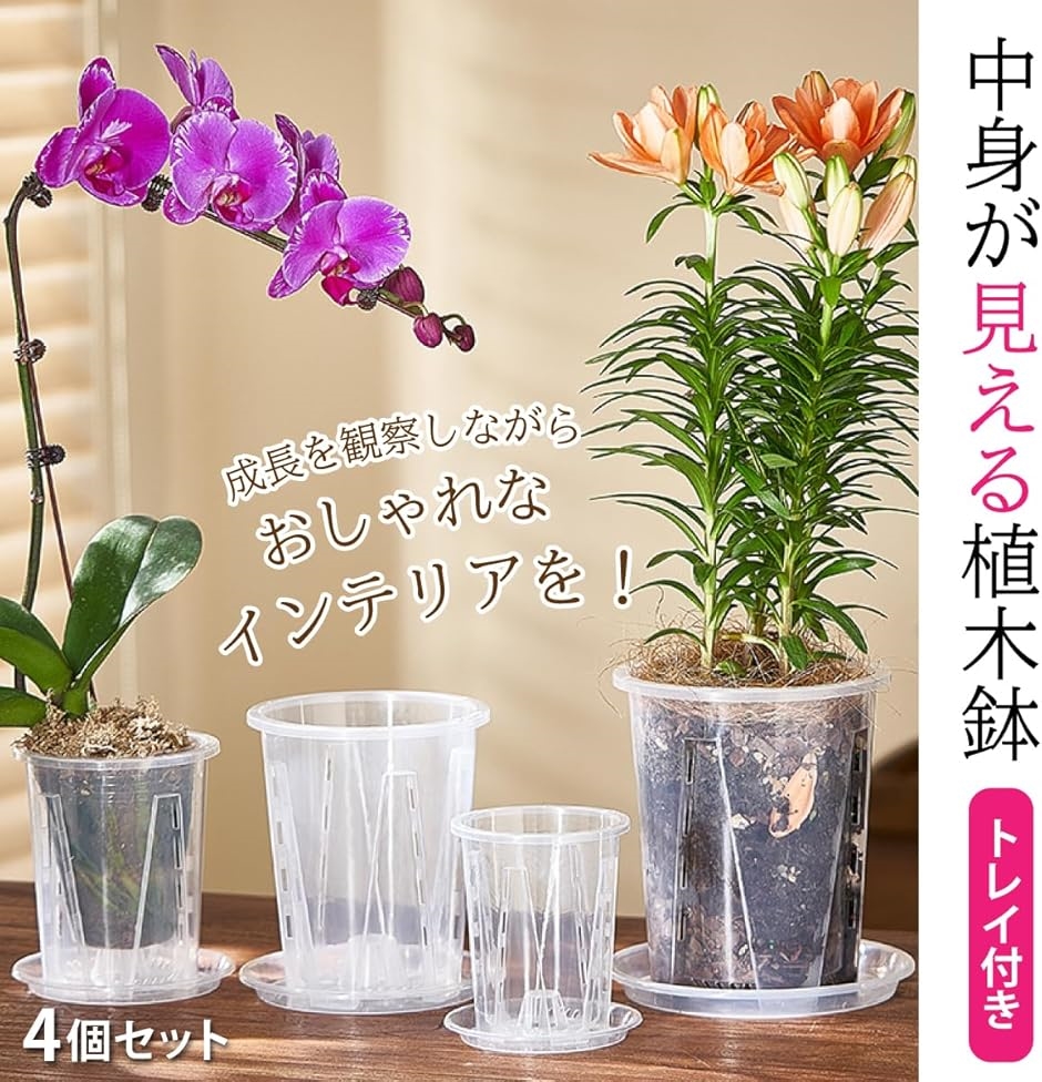 植木鉢 透明 底皿付き スリット鉢 観葉植物 プラスチック プラ鉢 5個セット(クリア,  10cm) | ブランド登録なし | 01