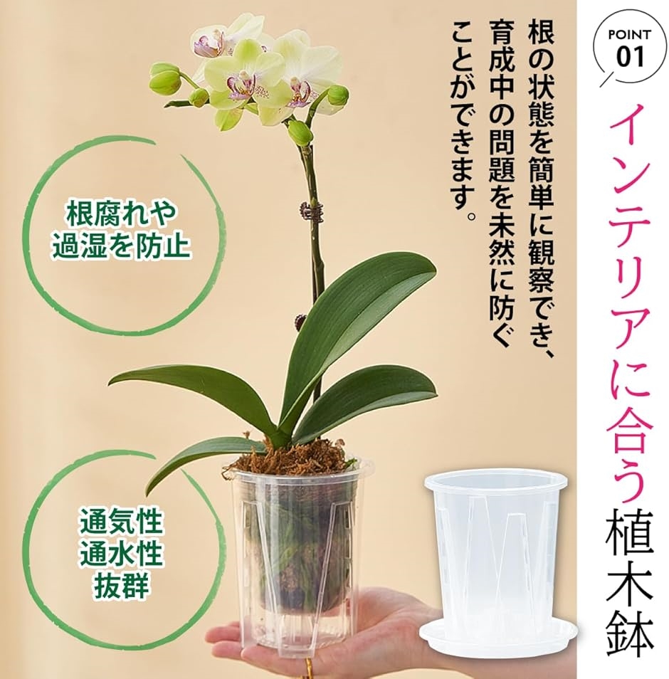 植木鉢 透明 底皿付き スリット鉢 観葉植物 プラスチック プラ鉢 5個セット(クリア,  10cm) | ブランド登録なし | 02