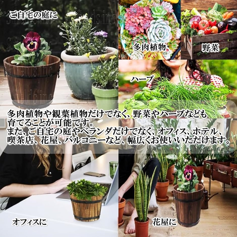 植木鉢 樽 ウッドバレルプランター 木製 多肉植物 ウイスキー樽 鉢植え ガーデニング(6号) | ブランド登録なし | 04