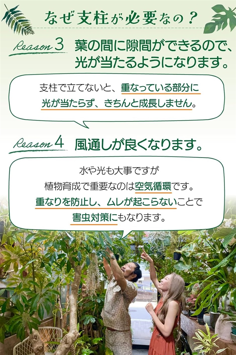 支柱 園芸 植物のプロW監修20本組 17cmx10個/27cmx10個観葉植物や花の支え(グリーン) | ブランド登録なし | 04