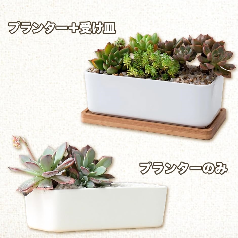プランター セラミック おしゃれ 植木鉢 多肉植物 寄せ植え サボテン 陶器 長方形(トレー付き) | ブランド登録なし | 01