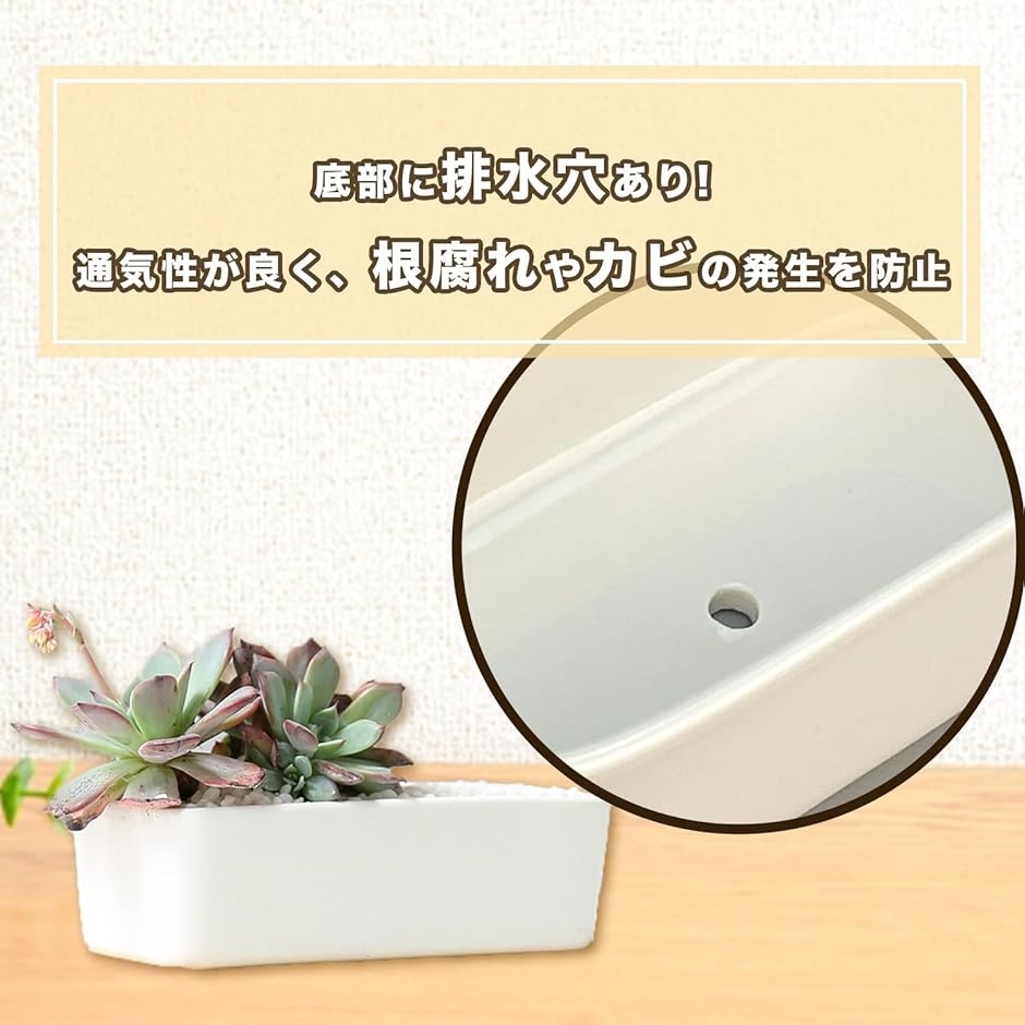 プランター セラミック おしゃれ 植木鉢 多肉植物 寄せ植え サボテン 陶器 長方形(トレー付き) | ブランド登録なし | 03