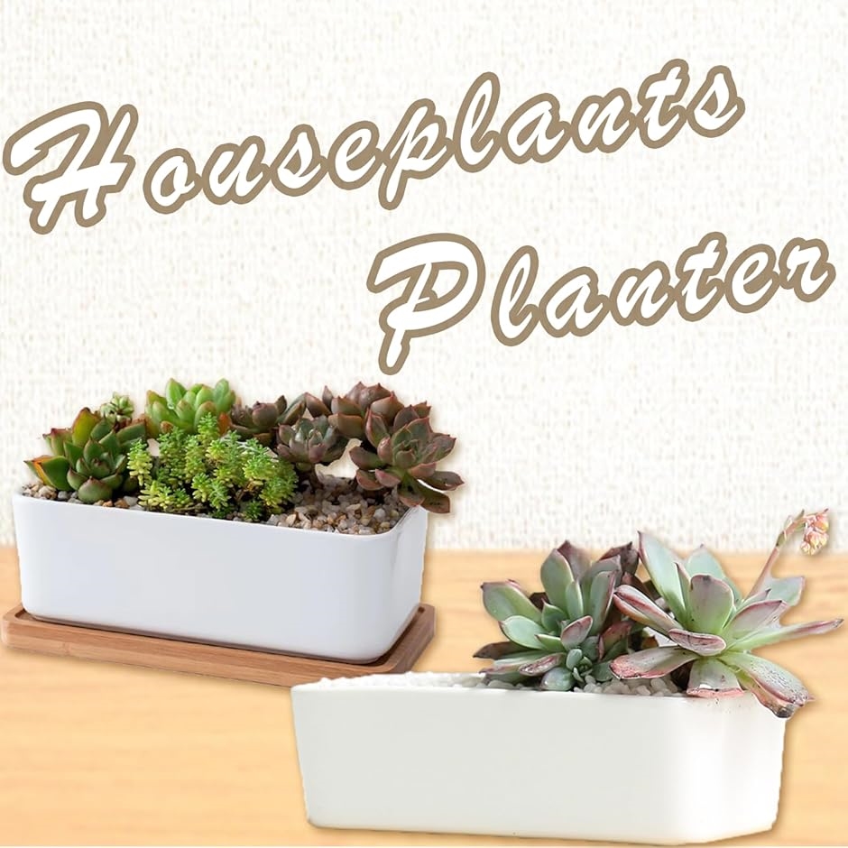 プランター セラミック おしゃれ 植木鉢 多肉植物 寄せ植え サボテン 陶器 長方形(トレー付き) | ブランド登録なし | 05