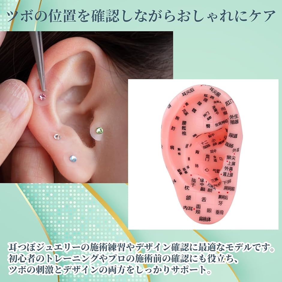 耳つぼ 模型 耳つぼシール 耳つぼジュエリー 練習 グッズ 耳ツボ 学校 学習 人体模型 ツール 13cm | ブランド登録なし | 03