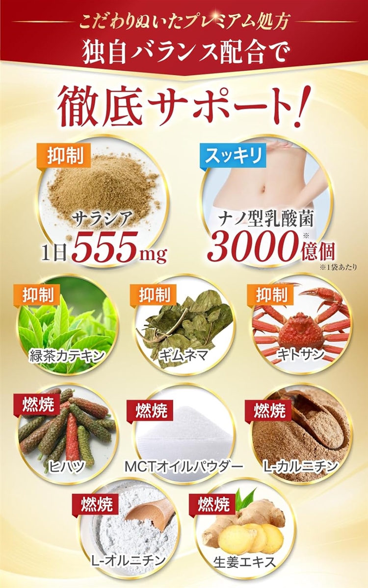 医師監修 サラシアEX16650 糖質と脂質をWバリア/ナノ型乳酸菌 3000億個の贅沢配合 16650mg 9種類の厳選成分サポート配合 | ブランド登録なし | 04