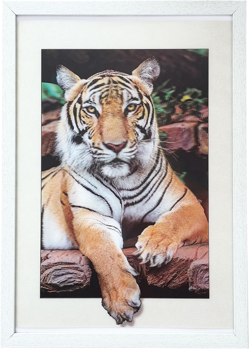 3Dアート Animals 額付 絵画 インテリア